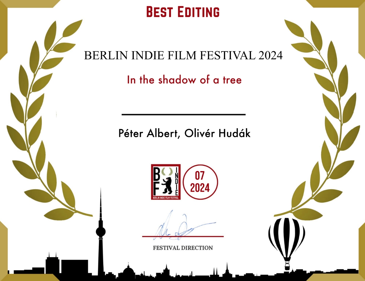 Berlin Indie Film